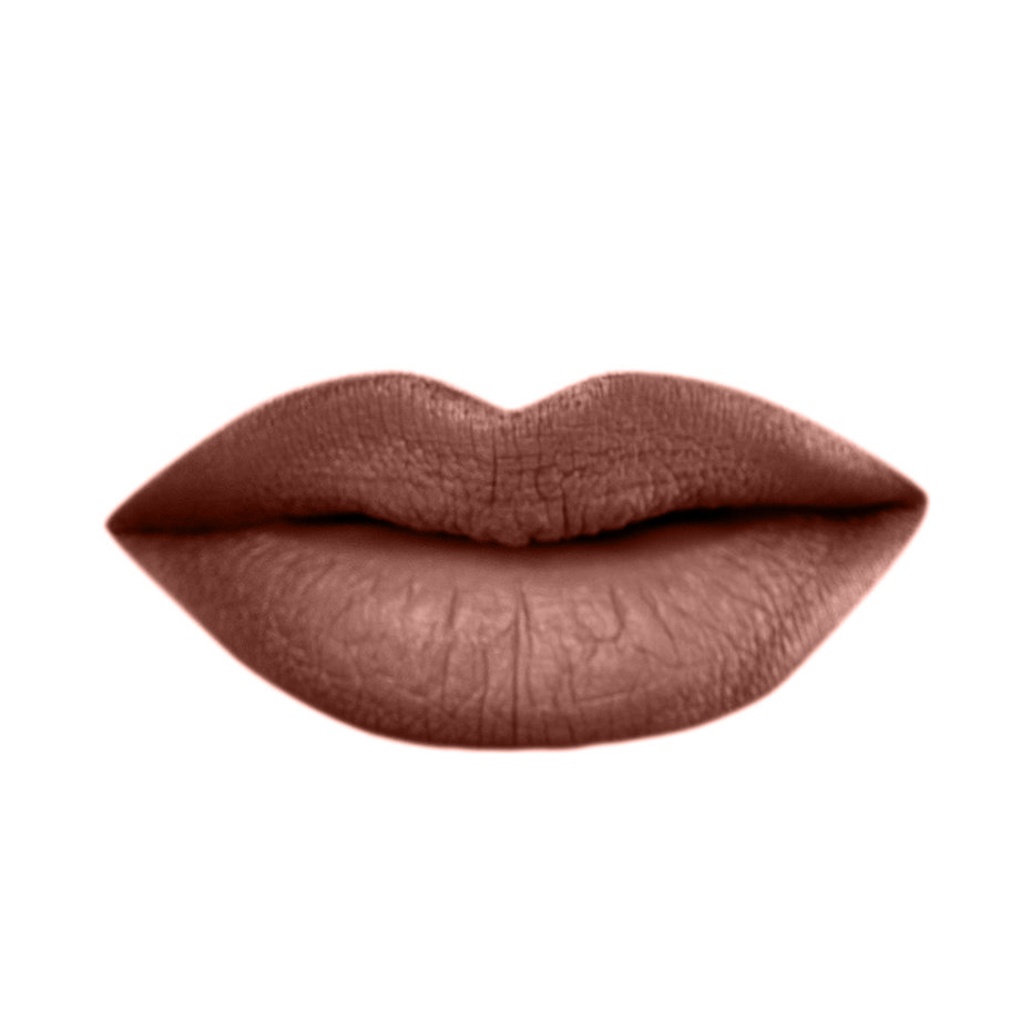 BARRA DE LABIOS LÍQUIDA ATERCIOPELADA MATE (VELVET MATTE LIQUID LIPSTICK)