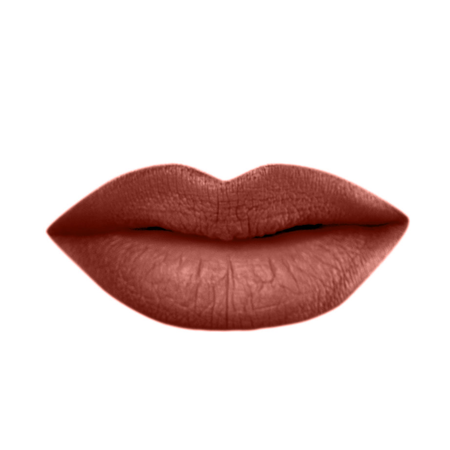 BARRA DE LABIOS LÍQUIDA ATERCIOPELADA MATE (VELVET MATTE LIQUID LIPSTICK)
