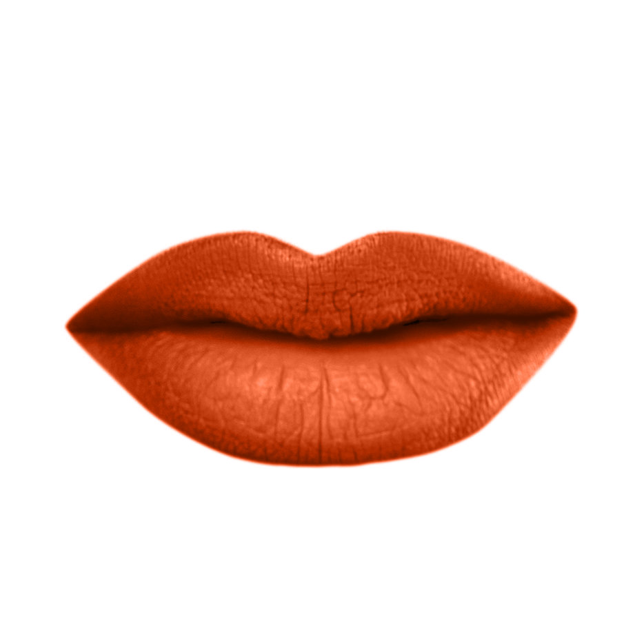 ROUGE Á LÉVRES LIQUIDE (VELVET MATTE LIQUID LIPSTICK)