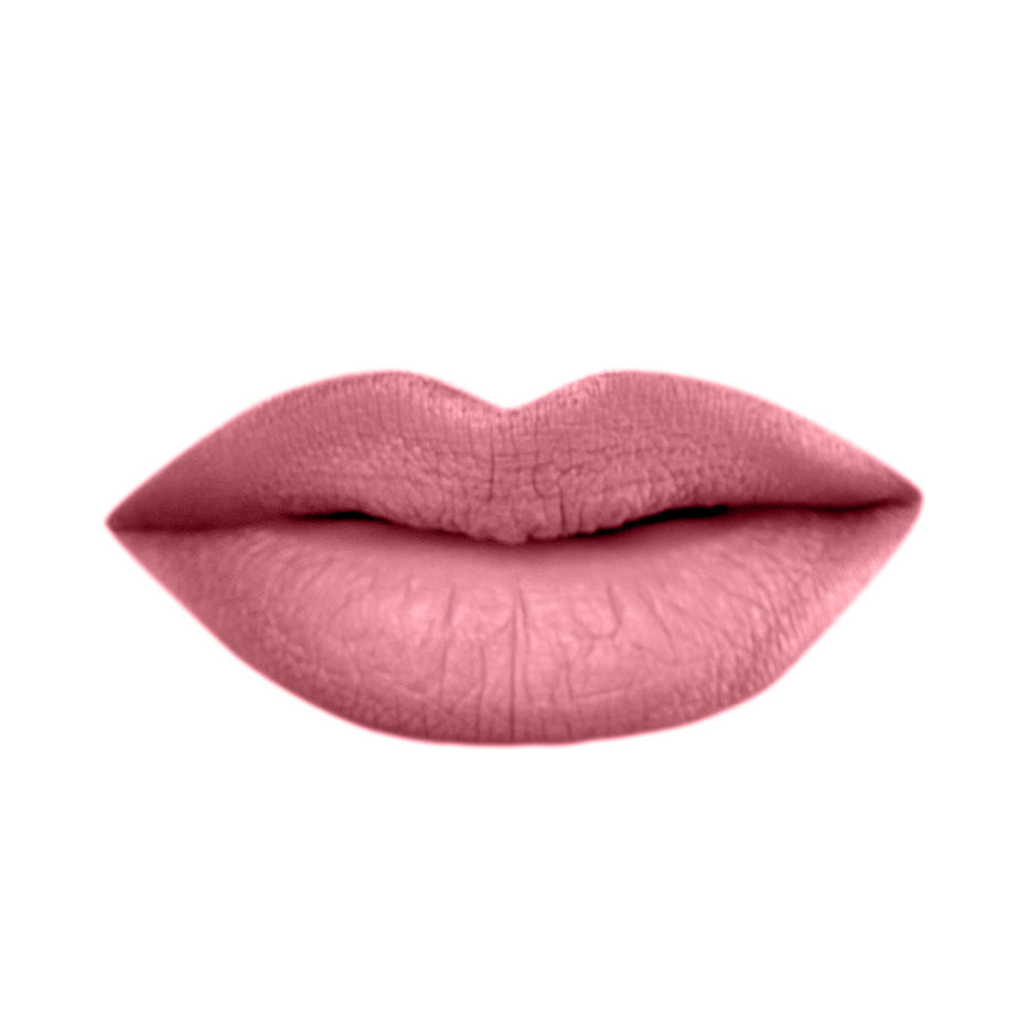 Velvet Matte Liquid Lipstick